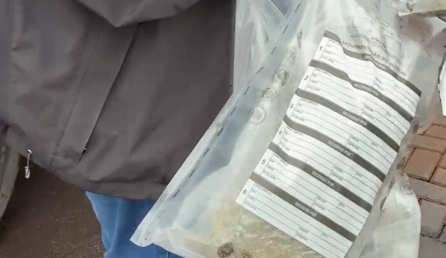 gde-apreende-maconha-e-capulho-em-duas-transportadoras-de-cascavel